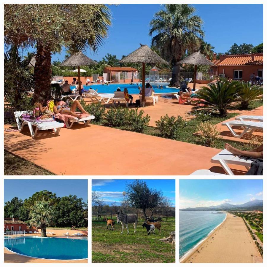 Camping Le Clos Du Thym Аржеле-сюр-Мер Екстериор снимка